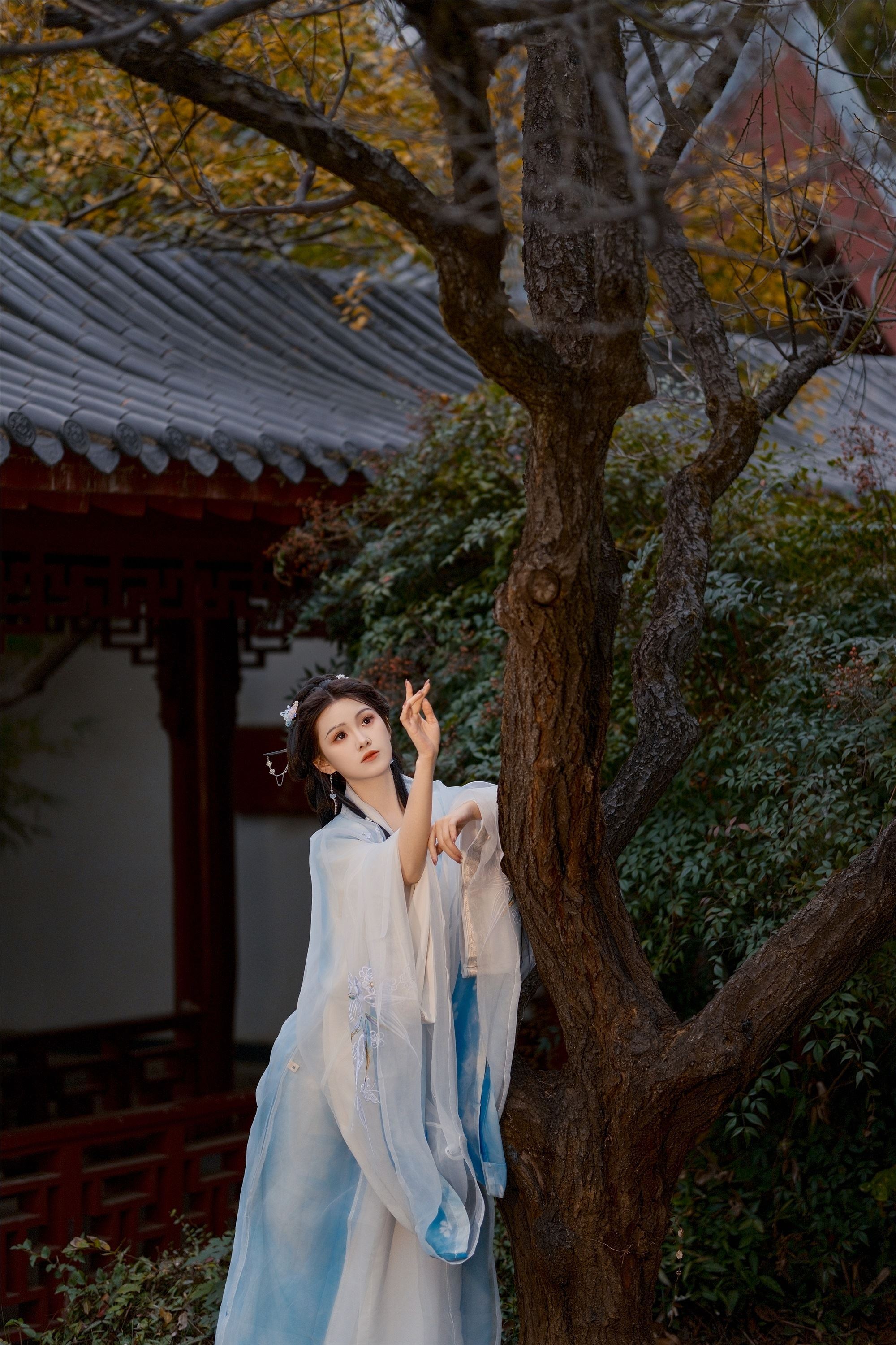 YITUYU艺图语 2025.01.24 秋意阑珊 悦璃